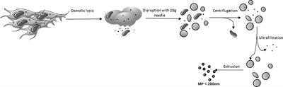 Membrane Particles Derived From Adipose Tissue Mesenchymal Stromal Cells Improve Endothelial Cell Barrier Integrity